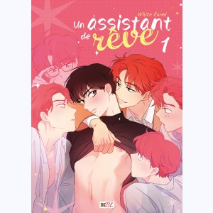 Un assistant de rêve : Tome 1