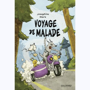 Voyage de malade