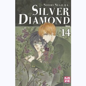 Silver Diamond : Tome 14, Mots