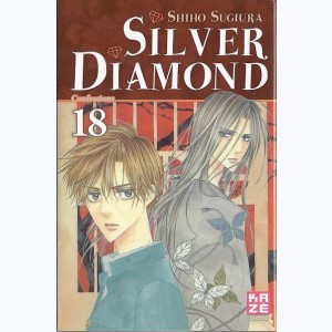 Silver Diamond : Tome 18, Confessions