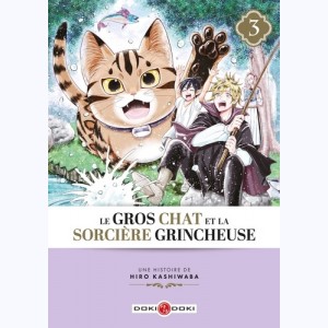 Le gros chat et la sorcière grincheuse : Tome 3