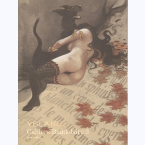 Mademoiselle Baudelaire : Tome 3, Cahiers Baudelaire