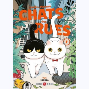 Série : Hachi & Maruru, chats des rues